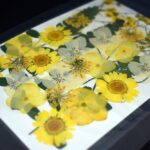 Bukiet “Giallo” 9 rodzajów suszonych kwiatów