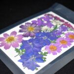 Bukiet “Viola” 9 rodzajów suszonych kwiatów