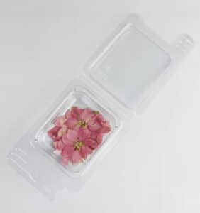 Kwiaty pudrowy róż - Suszone kwiaty