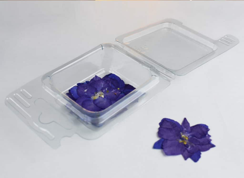 Fiori secchi Fiorellini Viola