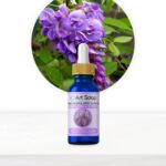 Zapachy: Poruszaj zmysły naszymi zapachami do ręcznie robionych mydeł ArtSoap.