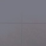 RAL-5003